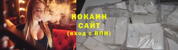 гашик Новодвинск