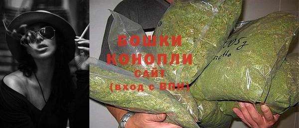 гашик Новодвинск