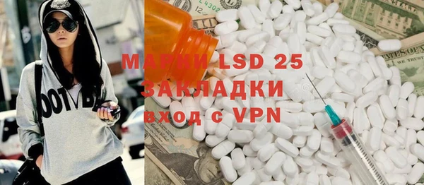 гашик Новодвинск