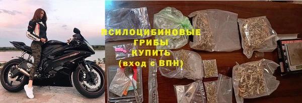 гашик Новодвинск