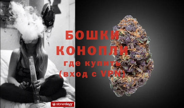 гашик Новодвинск