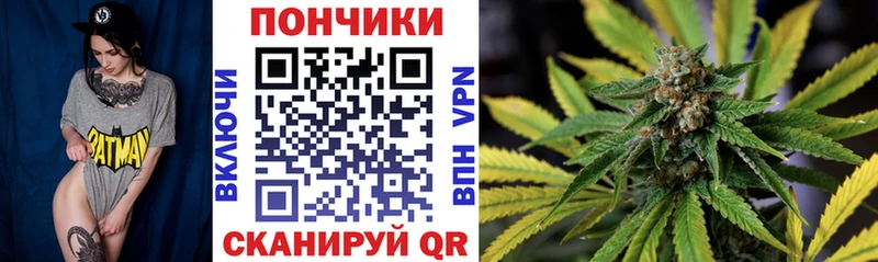 сколько стоит  Костерёво  Канабис индика 